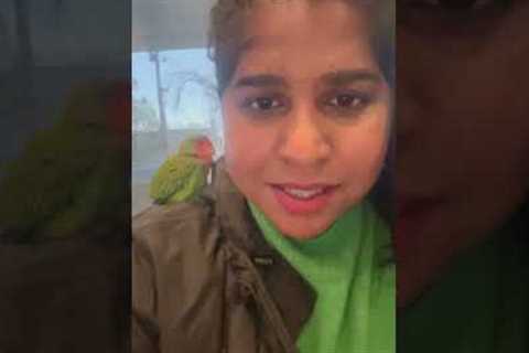 The heartwarming story of a Lovebird who found family in strangers