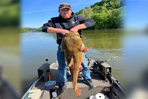 Giant Flathead Catfish Should Crush the Standing Pennsylvania State Record