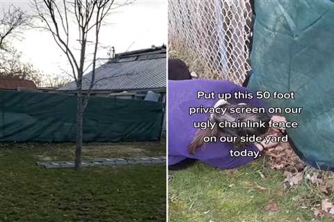 I got revenge on petty neighbour with ugly 50ft privacy screen after they tried to get me fined for ..