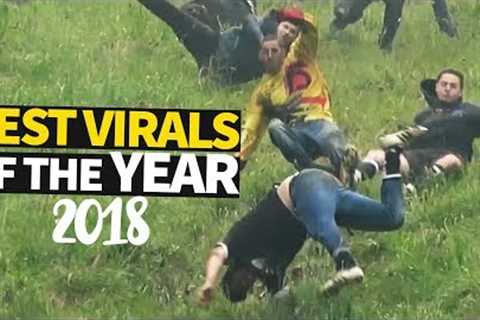 Top 40 Viral Videos of the Year 2018