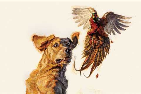 The Wonder Dogs: Tales of Six Incredible Hunting Dogs