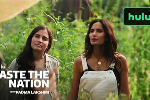 Padma Speaks With the People of Puerto Rico | Taste the Nation with Padma Lakshmi | Hulu