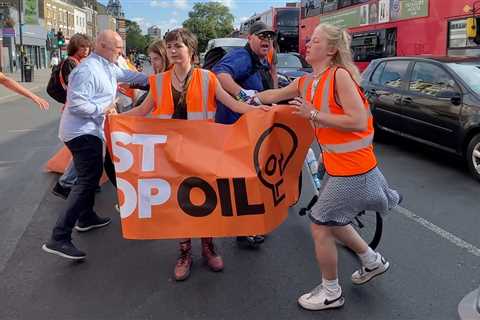 Eye-watering sum Just Stop Oil eco-idiots have cost taxpayer with their ‘disruptive’ protests..