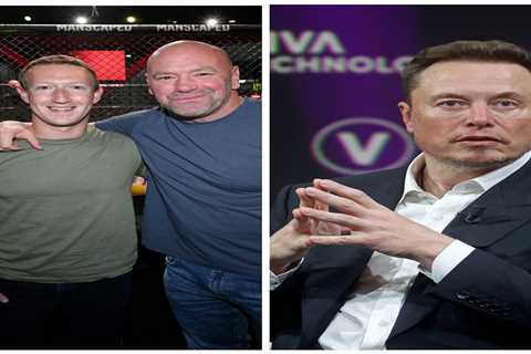 Elon Musk accepts UFC champion Georges St-Pierre's offer to train him for potential Mark Zuckerberg ..