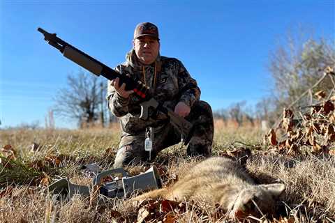 The Best Coyote Calls of 2023