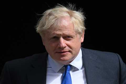 Commons panel which investigated Boris Johnson in free speech row after attacking critical MPs