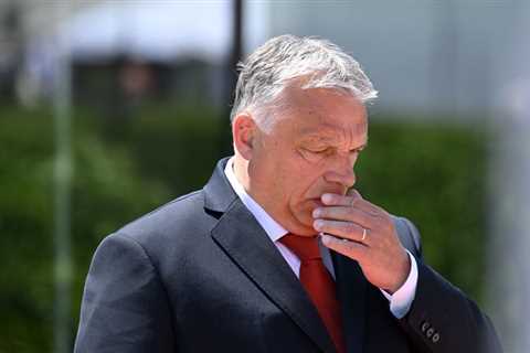 Weak states will perish – Orban — RT World News