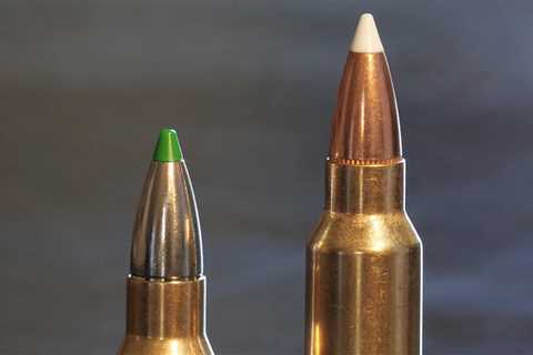 .300 Win. Mag. vs .308: Ballistics, Cost, and Accuracy