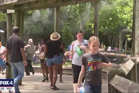 Dallas Zoo works to help crowds beat the heat during Thursday’s ‘Dollar Day’