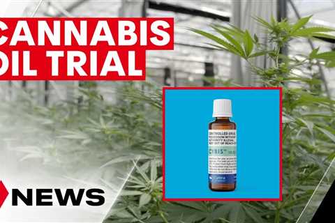 Cybis cannabis oil trial achieving positive results for Australians with back and neck pain