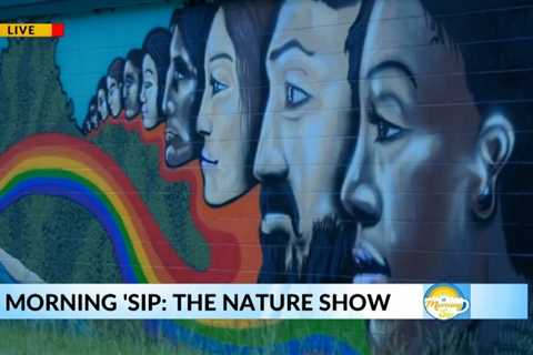 Morning ‘Sip: The Nature Show