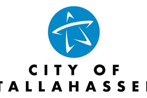 City of Tallahassee opens recycling sites for Christmas trees, cardboard boxes