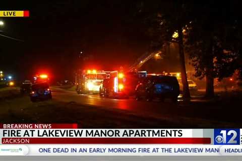 One Dead in Early Morning Apartment Fire