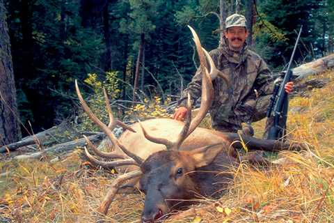 The Best Elk Hunting Calibers of 2023