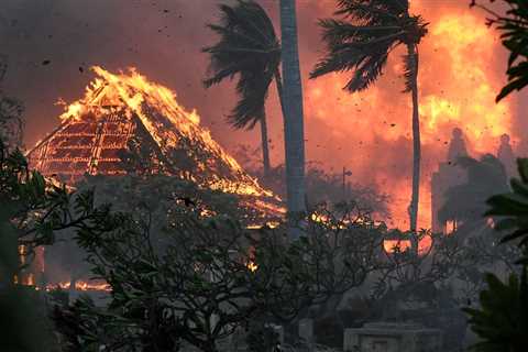 Hawaii wildfires: At least 36 people die after blaze destroys large parts of Maui city |  world news