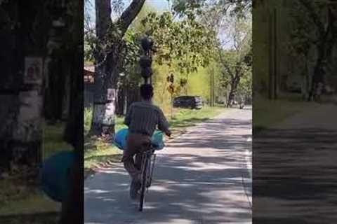 Cyclist seems to defy physics