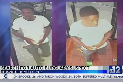 Man wanted for Ellisville area car burglaries