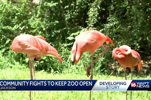 Community fights to keep zoo open