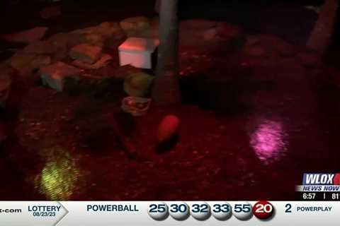 LIVE: Rainforest exhibit opens at the Mississippi Aquarium