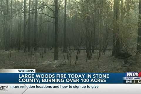 UPDATE: Firefighters working to put out woods fire in Stone County