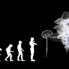 Parental investment may have aided evolution of larger brains