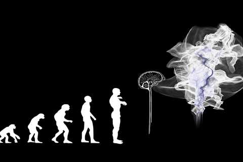 Parental investment may have aided evolution of larger brains