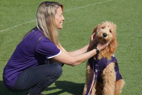 How Winnie the groodle is helping the Fremantle Dockers win, on and off the field