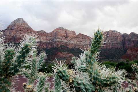 National parks can ban you from visiting: Here's how