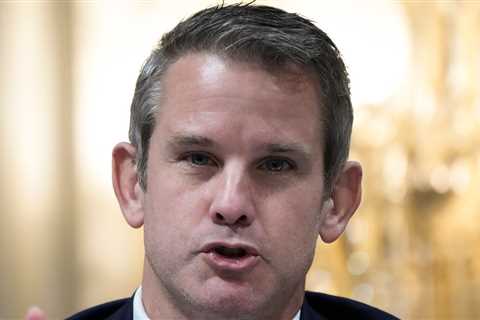 Adam Kinzinger Rips ‘Outrageous’ Ron DeSantis For Not Meeting With Biden In Florida