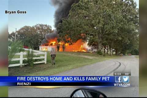 Family pet killed in Alcorn County house fire