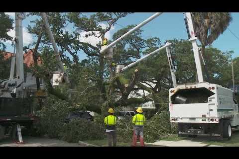 Latest on fallen live oak tree lying across Carrollton Avenue in Uptown New Orleans