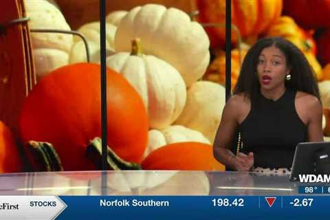 Hot weather affecting pumpkin patch preparation across the Pine Belt