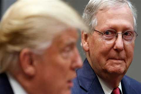 Mitch McConnell told Mitt Romney that Trump is an 'idiot' who 'doesn't think when he says things:'..