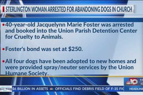 Sterlington woman arrested after video circulates on social media of abandoned dogs in church parkin