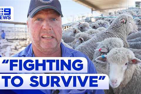 Aussie farmers bracing themselves for another drought