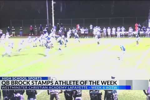 AOTW Week 6