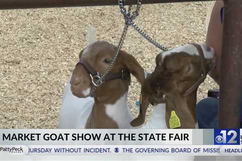 Market goat show held at the  Mississippi State Fair