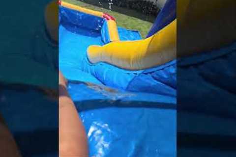 Adorable bulldog enjoys inflatable water slide