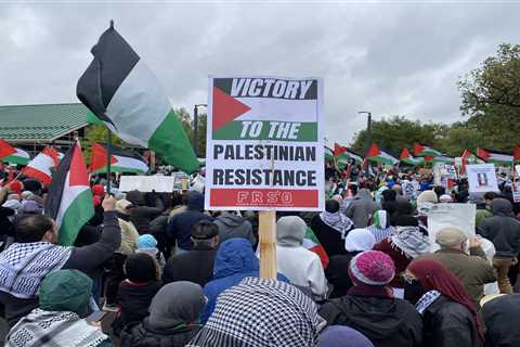 Hundreds rally in Dearborn to support a ‘free Palestine’ amid Israel-Gaza war ⋆