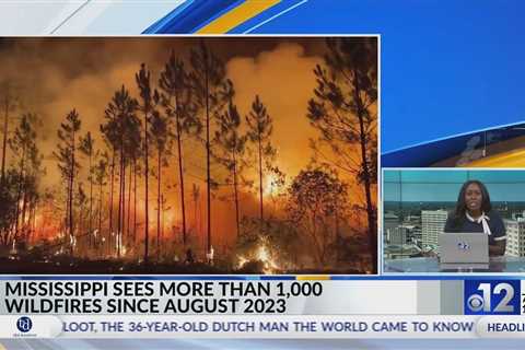 Mississippi sees more than 1,000 wildfires since August 2023