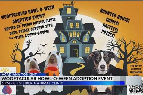 Sylvia’s Shelter Spotlight: Iberia Parish Animal Control hosting Halloween themed Adoption Event