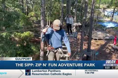 The Sipp Experience: Zip n’ Fun Adventure Park