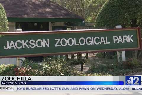 ZooChilla to be held at Jackson Zoo