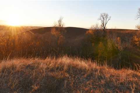 Donate to the Missouri Conservation Heritage Foundation and Help Preserve the Region's History