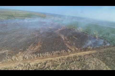 Swamp fire spreads the smell of smoke across New Orleans