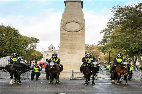 MPs Hire Extra Security for Remembrance Sunday Events Amid Harassment and Threats