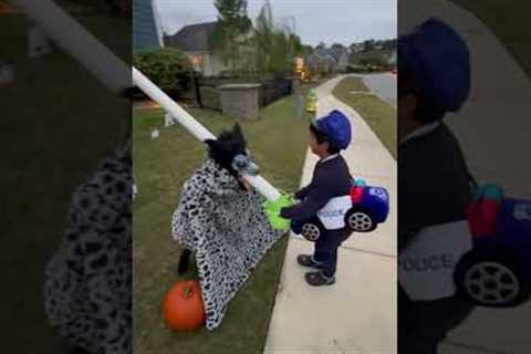 Man set up a slide to distribute Halloween treats