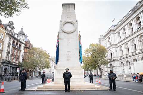 Cenotaph to Receive 24-Hour Police Guard During Remembrance Commemorations