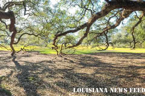 New Orleans civil rights activist’s family home listed on National Register of Historic Places |..