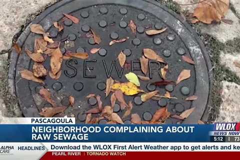 LIVE: Pascagoula neighborhood complaining about raw sewage